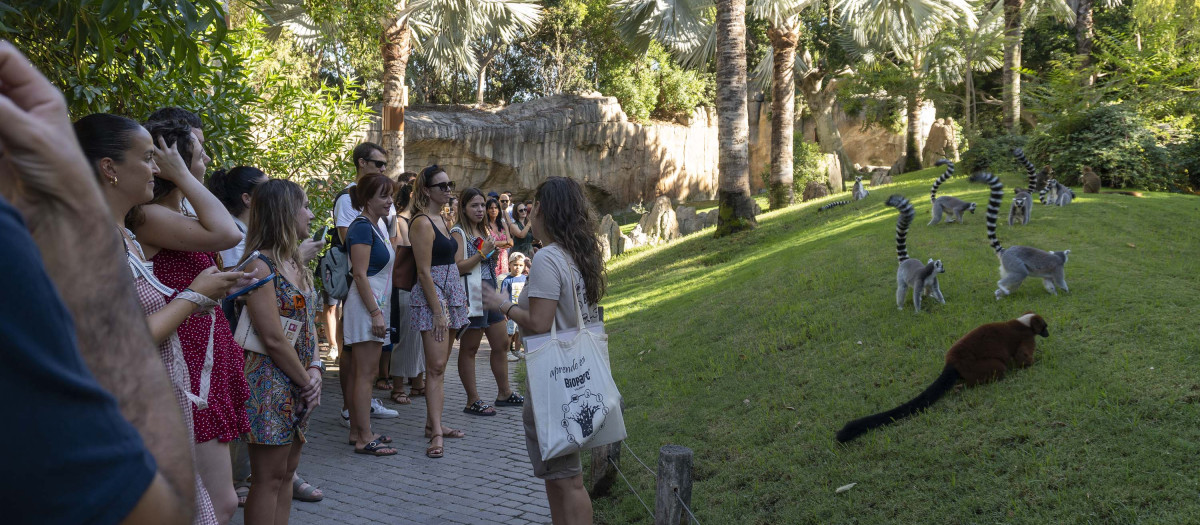 Imagen de la presentación de la oferta escolar de Bioparc Valencia 2025-2026
