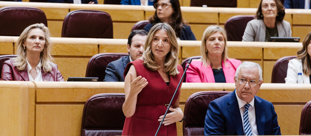 El PP critica una «pinza de PSOE y Vox» en el Senado por rechazar los ...