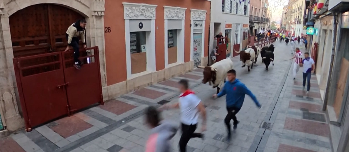 Los toros de El Capea en el primer encierro de las fiestas de Guadalajara