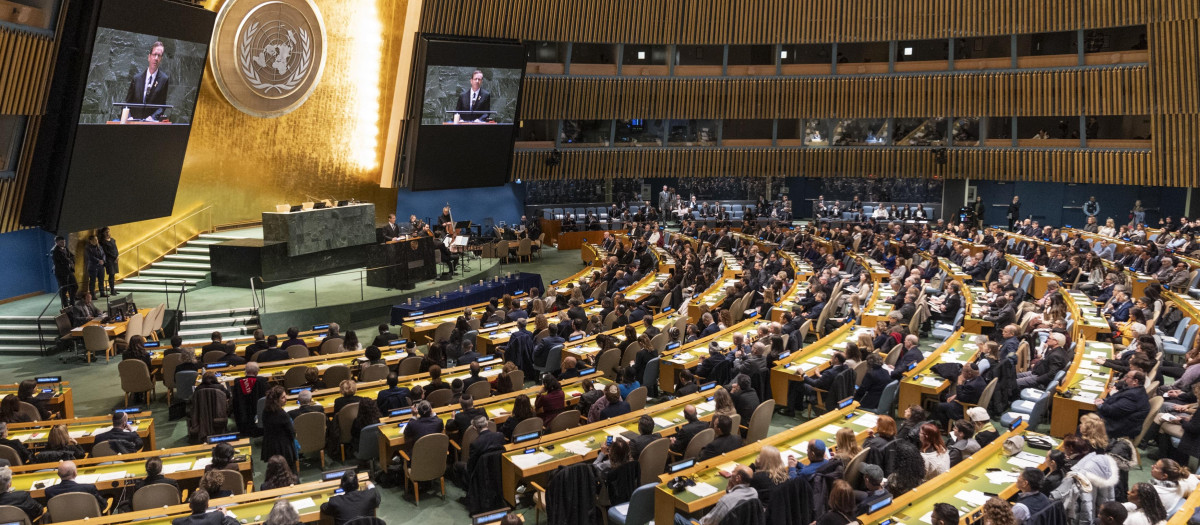 Asamblea General de la ONU