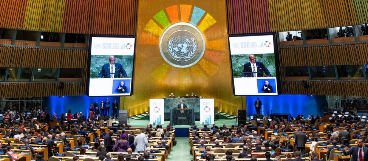 Asamblea General de la ONU