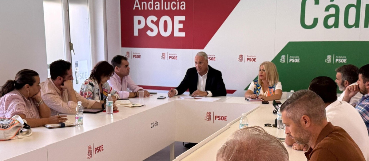 Ruiz Boix en la ejecutiva provincial del PSOE.