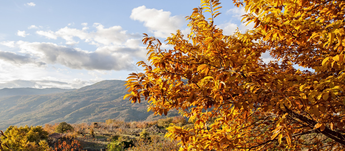 Valle del Jerte (Cáceres)