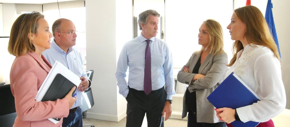 El líder del PP, Alberto Núñez Feijóo, preside la reunión del comité de dirección del PP