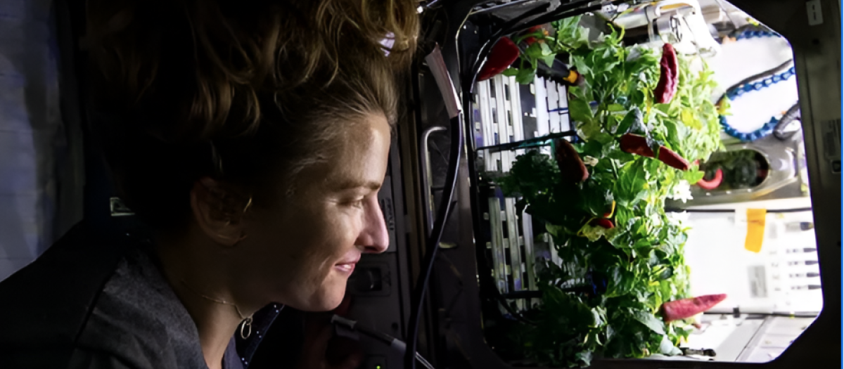 Una astronauta observa un cultivo en microgravedad