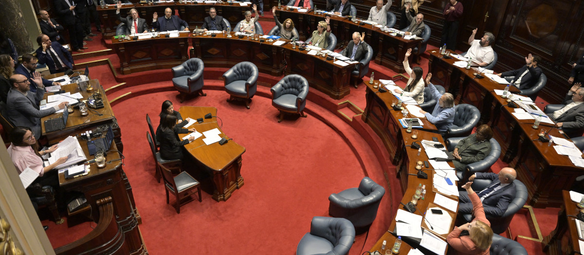 El Senado ha aprobado la ley con 20 votos a favor y 11 en contra de un total de 31 parlamentarios presentes