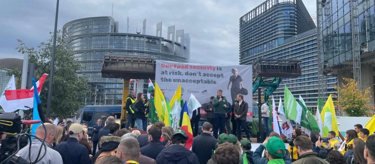 Protesta de agricultores y ganaderos europeos en el Parlamento Europeo, en Estrasburgo