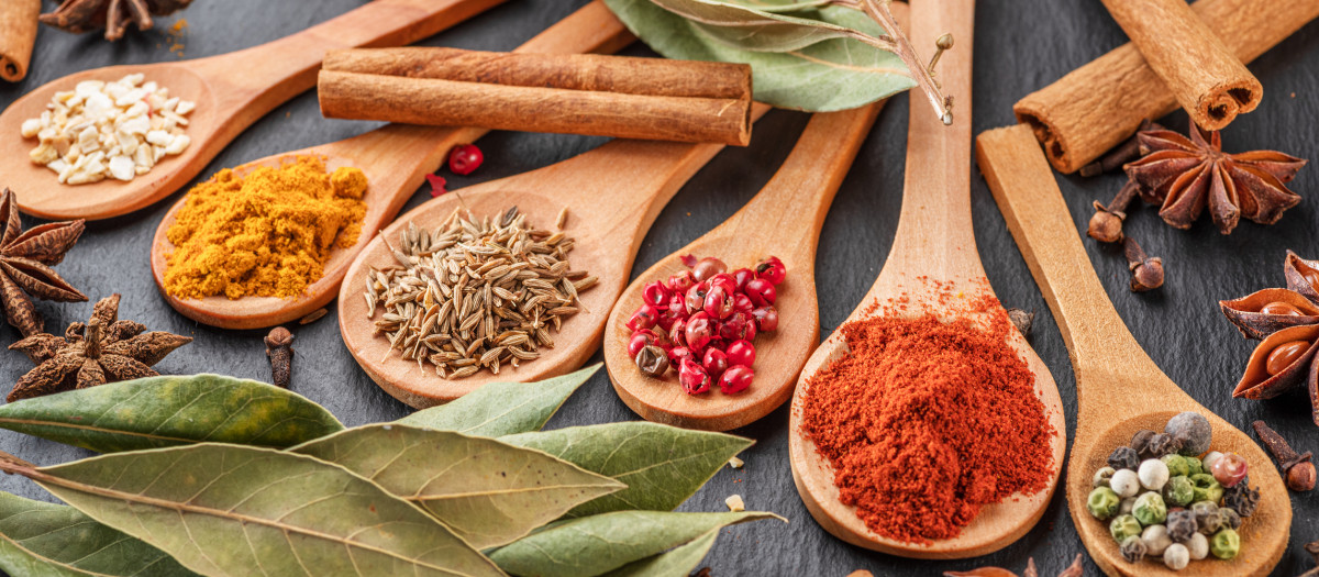 Varios tipos de especias