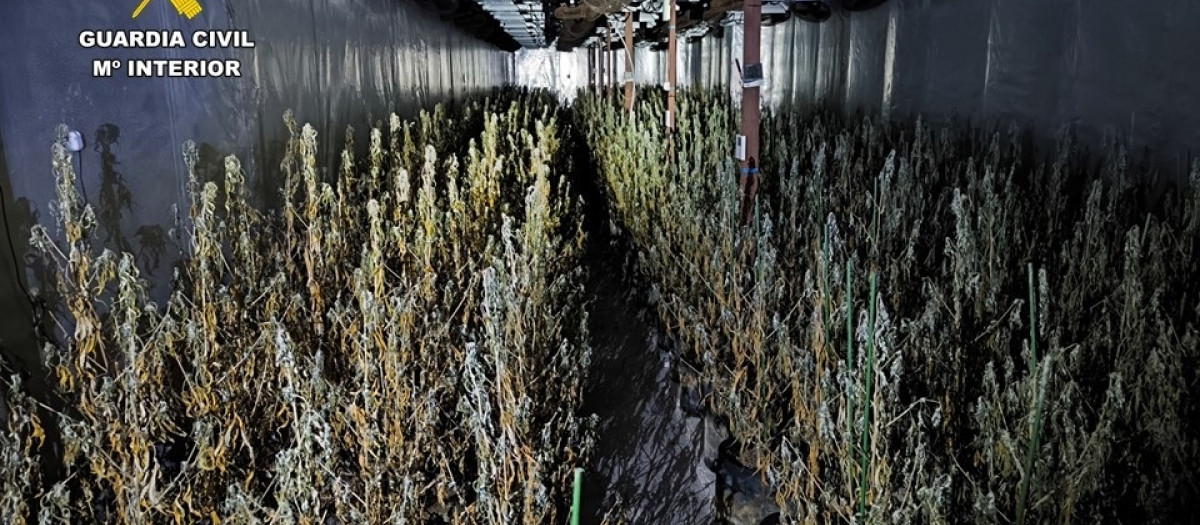 Imagen de la nave en Aspe intervenida

REMITIDA / HANDOUT por OPC
Fotografía remitida a medios de comunicación exclusivamente para ilustrar la noticia a la que hace referencia la imagen, y citando la procedencia de la imagen en la firma
28/10/2025