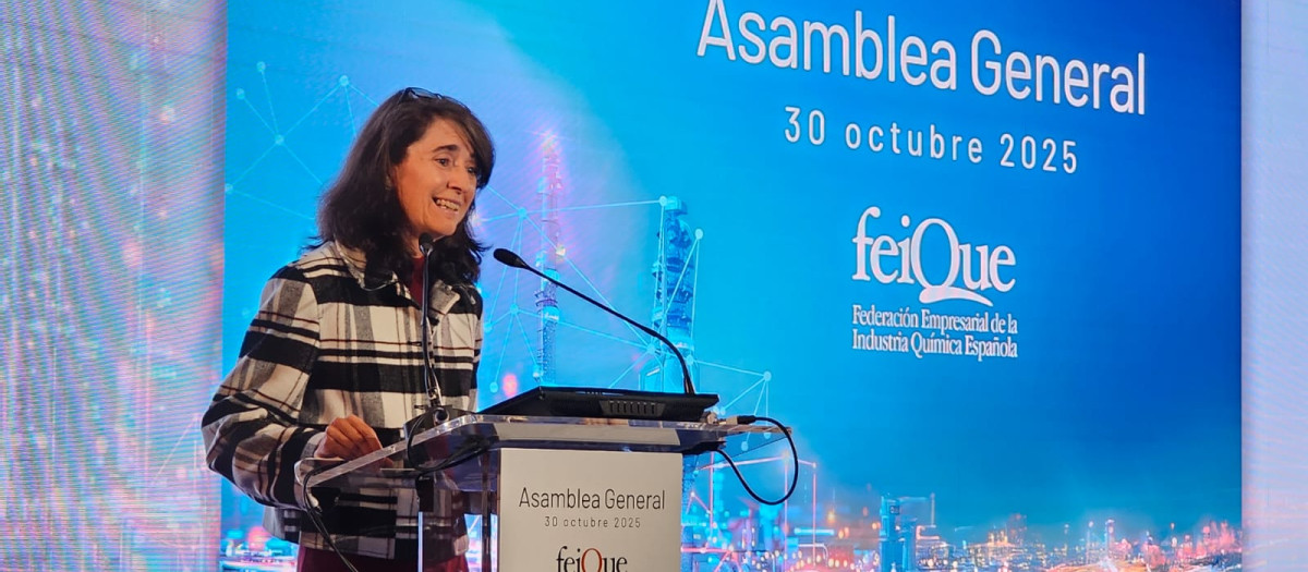 Teresa Rasero es presidenta de Feique