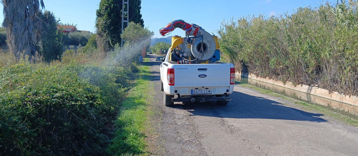 Imagen del tratamiento contra los mosquitos en Castellón
