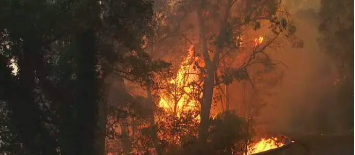Incendio en Río Covo (Lugo)