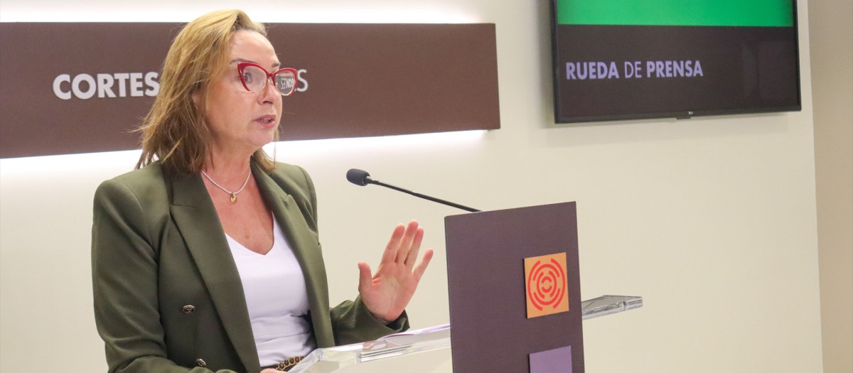 (Foto de ARCHIVO)
La diputada autonómica de Vox, Carmen Rouco.

REMITIDA / HANDOUT por VOX.
Fotografía remitida a medios de comunicación exclusivamente para ilustrar la noticia a la que hace referencia la imagen, y citando la procedencia de la imagen en la firma
15/10/2025