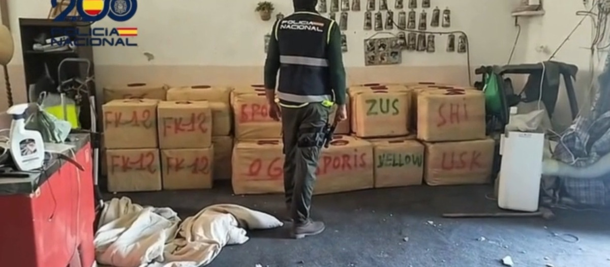 Un agente en la finca donde se han intervenido 2.000 kilos de hachís en Jerez

REMITIDA / HANDOUT por POLICÍA NACIONAL
Fotografía remitida a medios de comunicación exclusivamente para ilustrar la noticia a la que hace referencia la imagen, y citando la procedencia de la imagen en la firma
07/11/2025