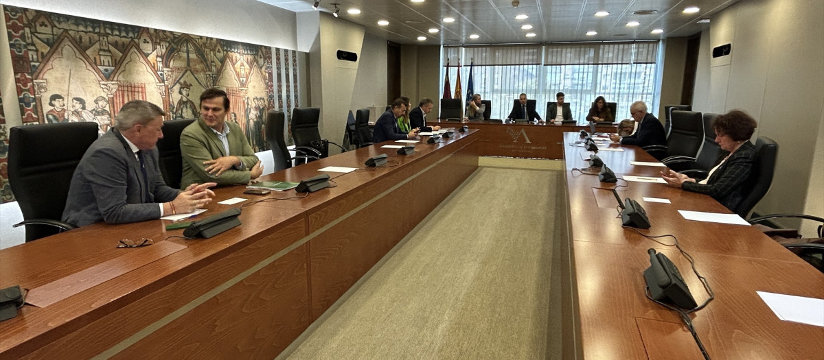 Constitución de la comisión de investigación del caso Koldo en Murcia