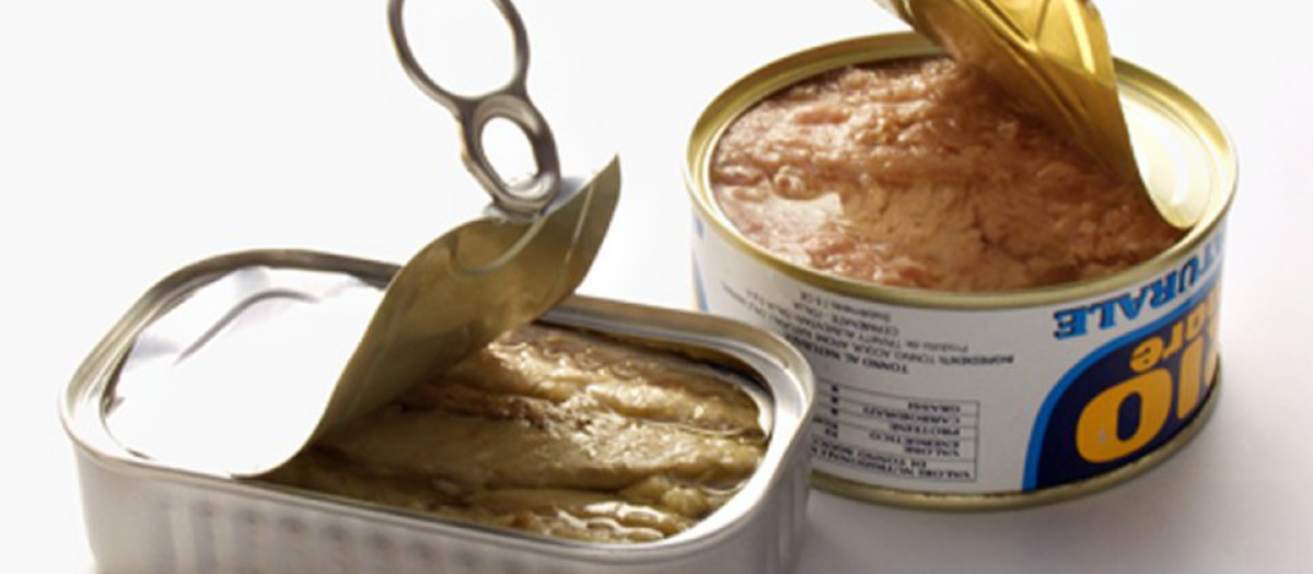 Latas de atún