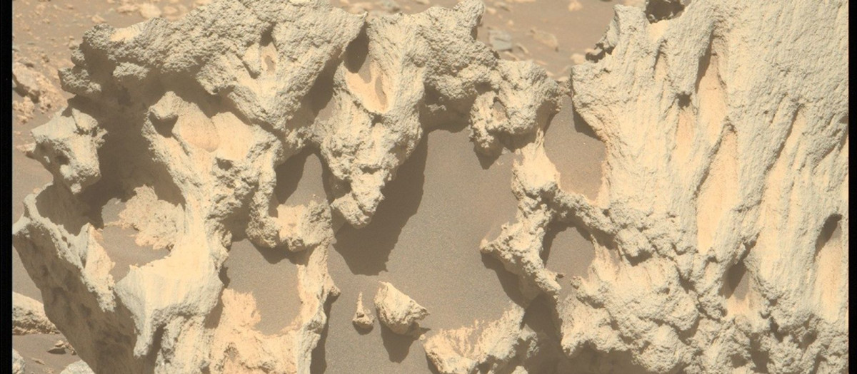 El rover Perseverance de la NASA capturó esta imagen en primer plano que muestra la textura erosionada y cavernosa de una roca de forma inusual, "Phippsaksla"