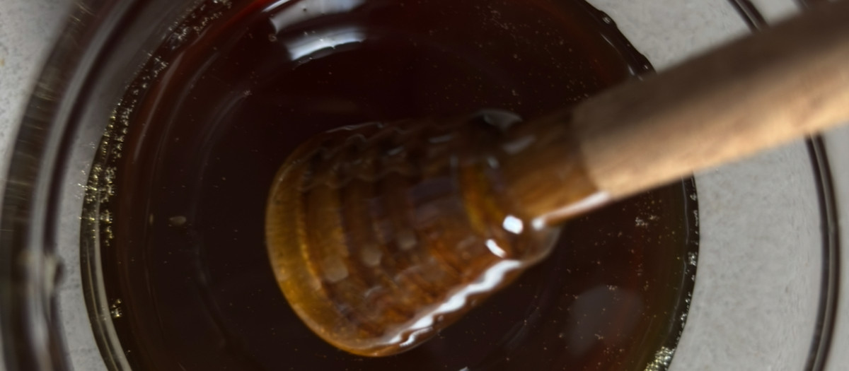 Las mejores mieles de Galicia