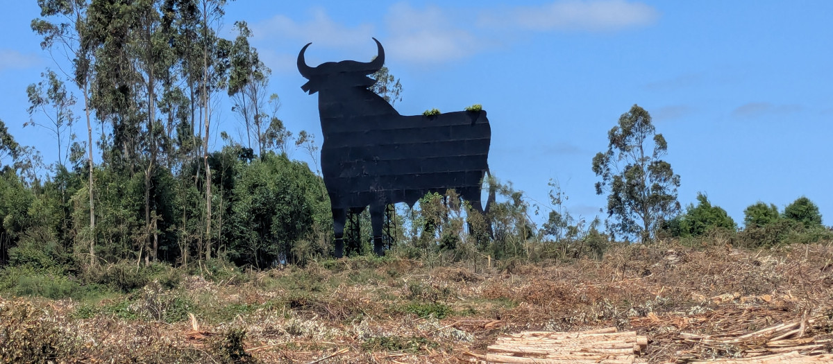 Toro de Osborne