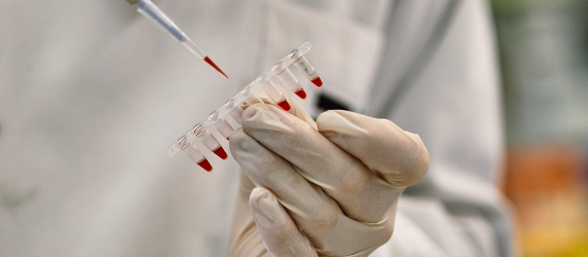 Un investigador manipula material de laboratorio