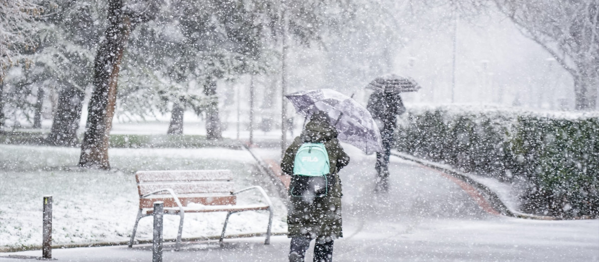 Una mujer se refugia de la nieve con un paraguas en Vitoria-Gasteiz