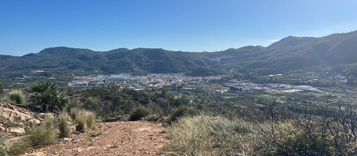 Imagen de la zona del incendio de Montitxelvo