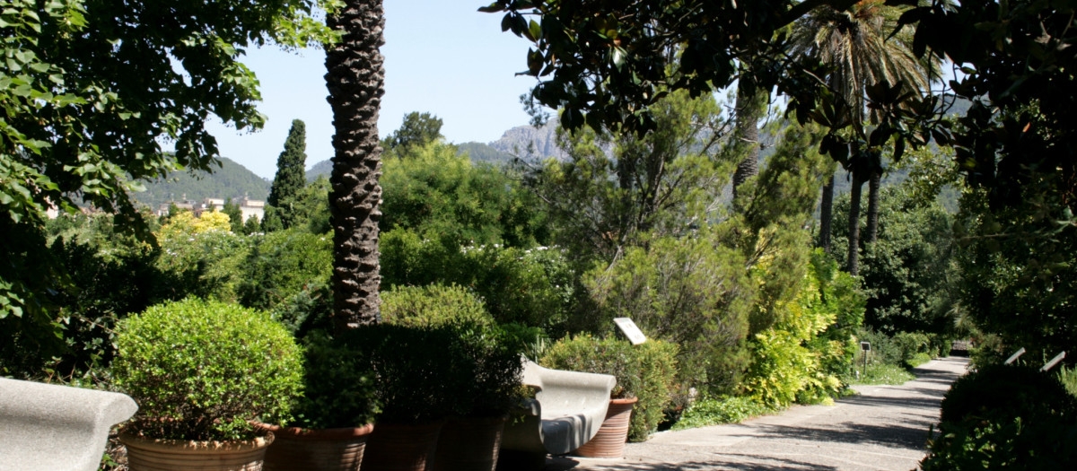 Jardín Botánico de Sóller (Mallorca)