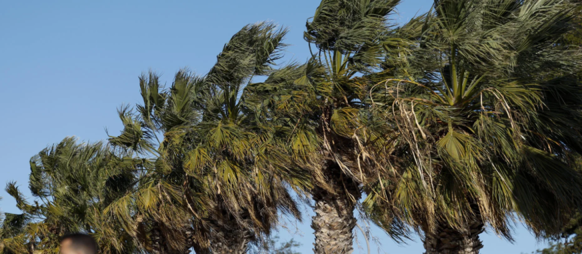 Imagen de archivo de un episodio de viento en la Comunidad Valenciana