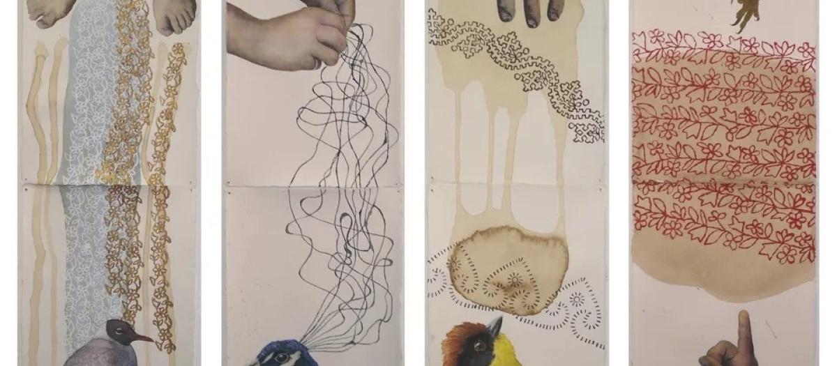 Obra 'Lenguaje con pájaros', de José Freixanes

REMITIDA / HANDOUT por JOSÉ LUIZ OUBIÑA
Fotografía remitida a medios de comunicación exclusivamente para ilustrar la noticia a la que hace referencia la imagen, y citando la procedencia de la imagen en la firma
26/11/2025