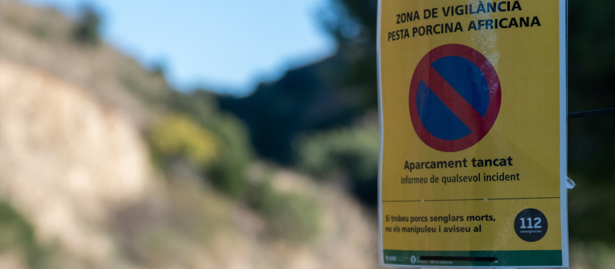 Zona en cuarentena por la peste porcina africana en el parque natural de Collserola