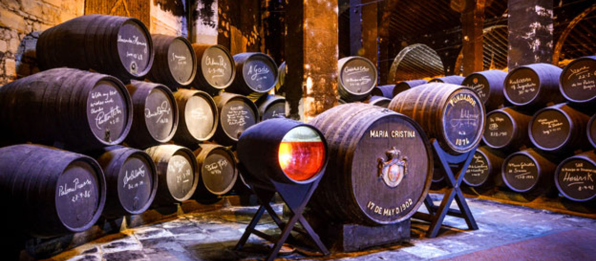 Botas de vino del Marco de Jerez