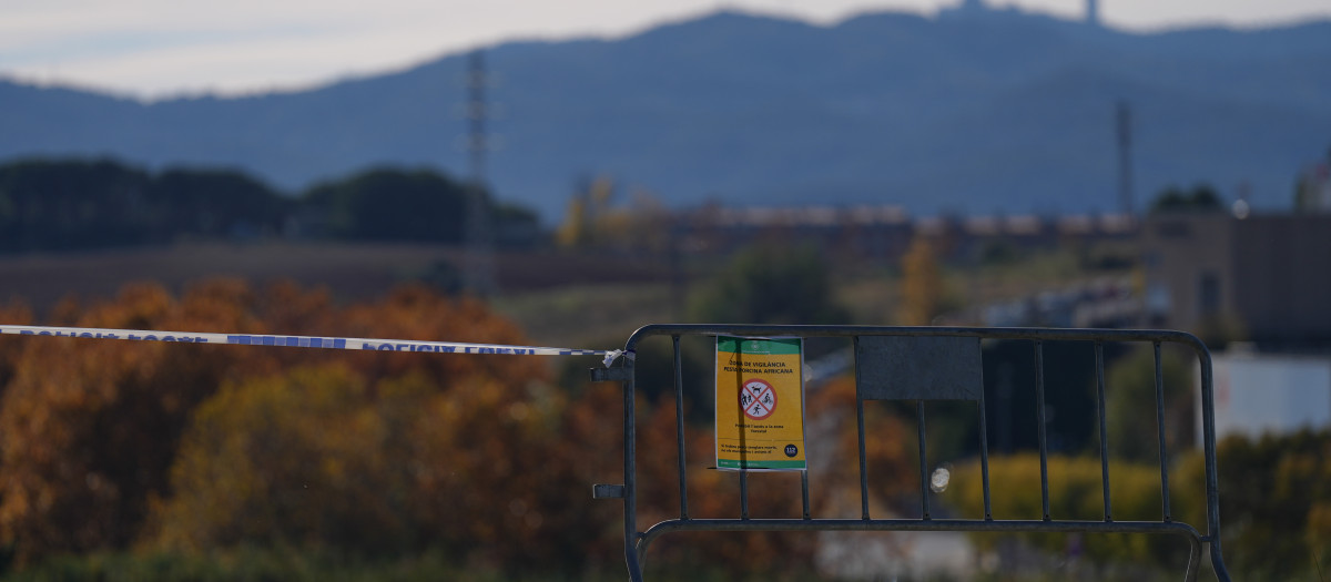 Vallas para cortar el paso al perímetro de seguridad por la peste porcina africana en la provincia de Barcelona