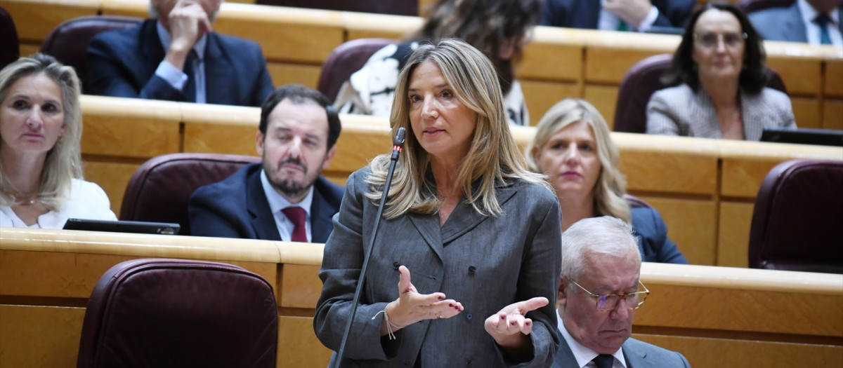 La portavoz del PP en el Senado, Alicia García, durante una sesión de control al Gobierno