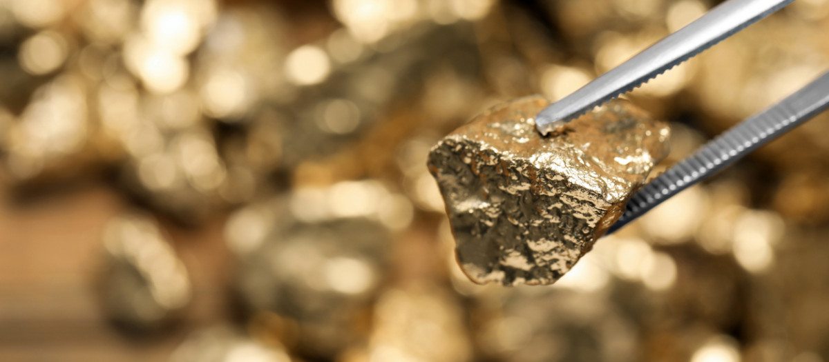 Pinzas con pepita de oro