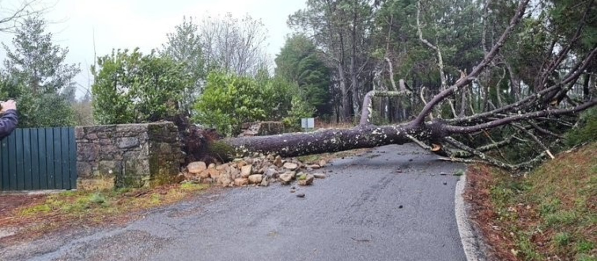 Incidencias por el mal tiempo en Corcubión, a 9 de diciembre de 2025.

REMITIDA / HANDOUT por CONCELLO DE CORCUBIÓN
Fotografía remitida a medios de comunicación exclusivamente para ilustrar la noticia a la que hace referencia la imagen, y citando la procedencia de la imagen en la firma
09/12/2025