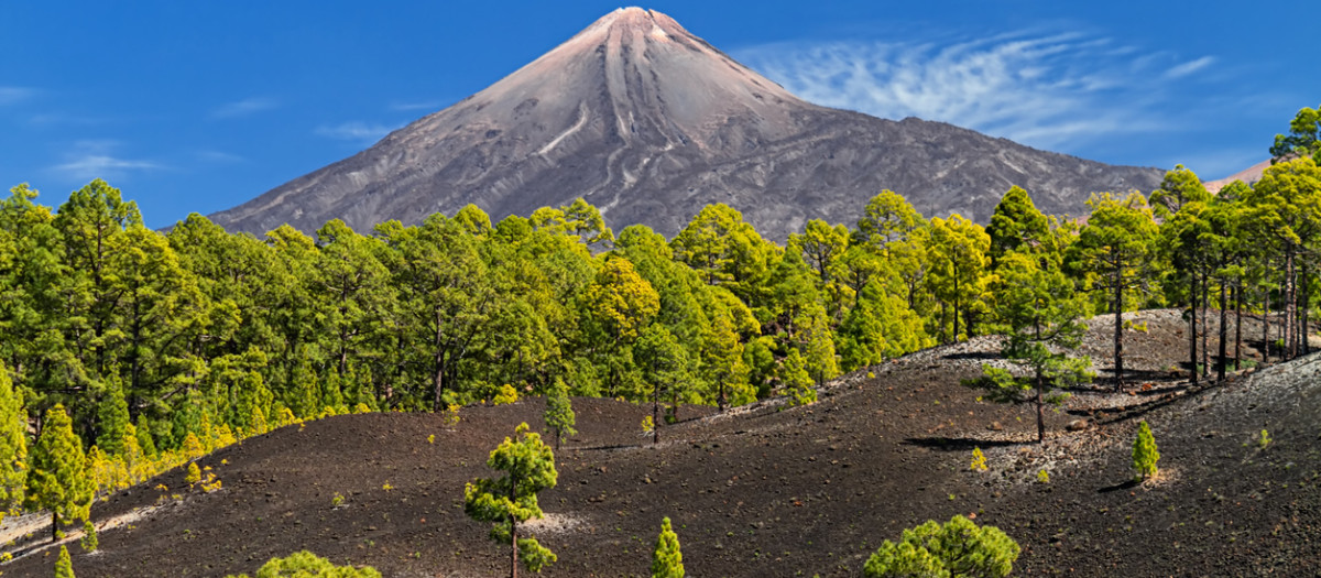 Teide (Tenerife, Canarias)