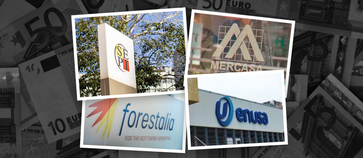 Los logotipos de las nuevas empresas investigadas.