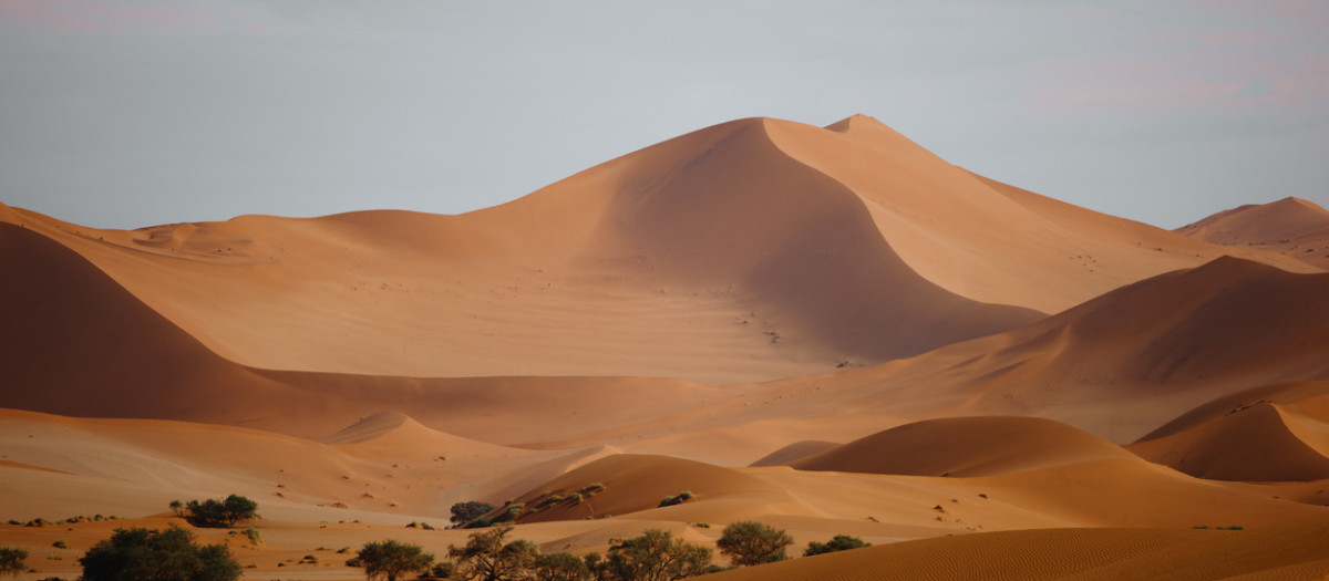 Dunas en el desierto de Namib
