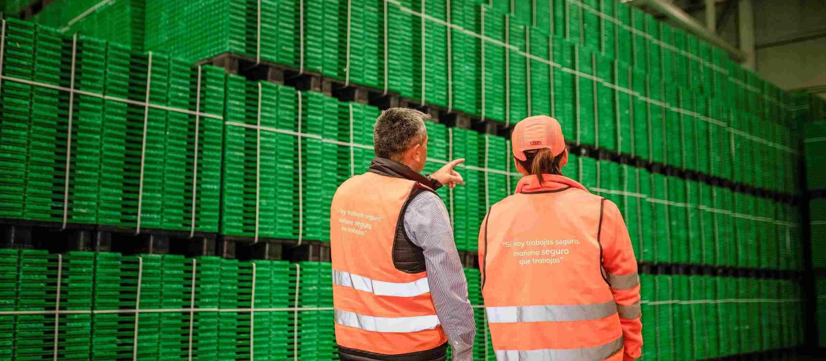 Imagen tomada en una nave de Logifruit