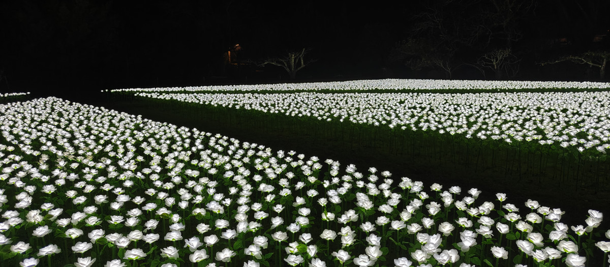 Este el jardín que debes visitar esta Navidad en Galicia