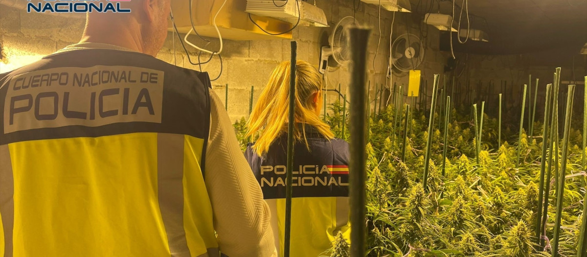 Imagen de agentes de la Policía Nacional en la iperación antidroga en un chalé de lujo en Llíria, Valencia