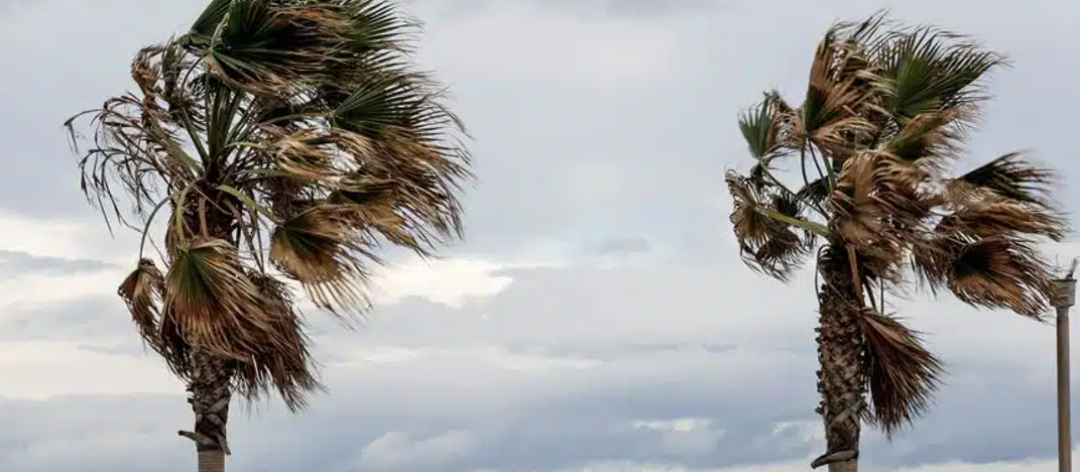 Imagen de archivo de fuertes rachas de viento en la playa de la Malvarrosa de Valencia