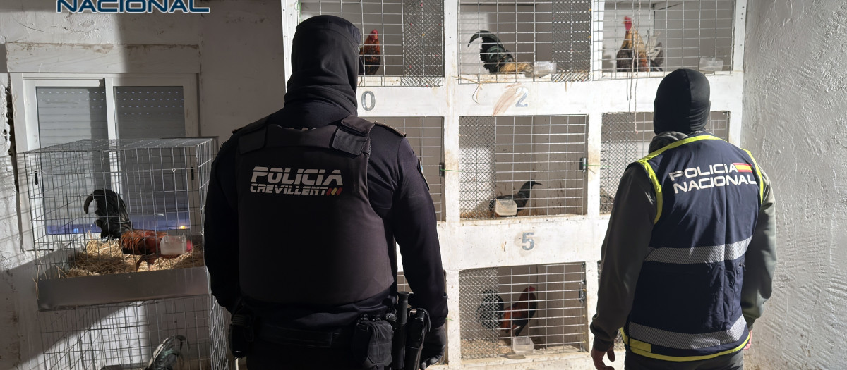 Imagen de la operación policial