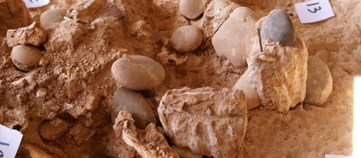 El origen africano, en lugar de euroasiático, del Homo sapiens está hoy más respaldado gracias a la descripción y datación de restos fósiles hallados en un yacimiento de Casablanca (Marruecos)