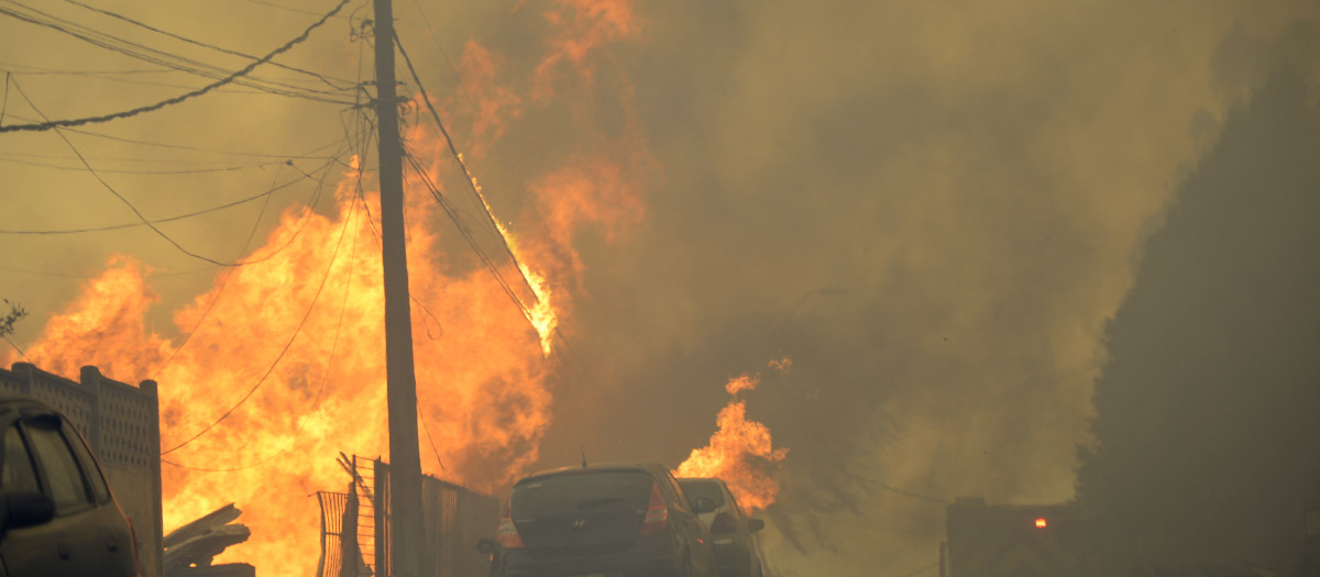 Incendios en Chile, este 18 de enero de 2026