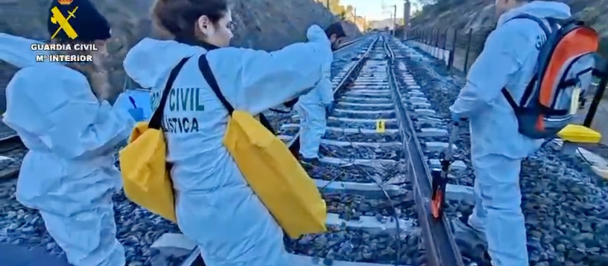 Agentes de la Guardia Civil inspeccionan el lugar del accidente en Adamuz (Córdoba)