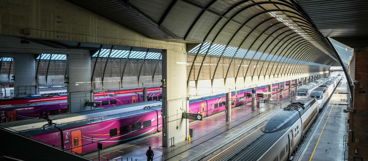 Trenes parados y andenes vacíos en en la estación de Santa Justa de Sevilla. A 19 de enero de 2026, en Sevilla (Andalucía, España). La cifra de fallecidos se ha elevado a 39, según han fuentes del Ministerio de Interior, tras el descarrilamiento registrado sobre las 19,45 horas de este domingo, 18 de enero, de un tren Iryo 6189 en el que viajaban unas 300 personas y que cubría el trayecto Málaga-Puerta de Atocha, ocurrido en los desvíos de entrada a la vía 1 de la estación de Adamuz (Córdoba), lo que provocó que el vehículo invadiera la vía contigua.