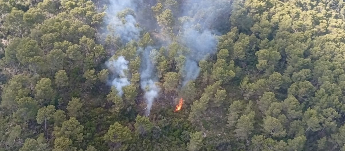 Imagen aérea de un incendio forestal