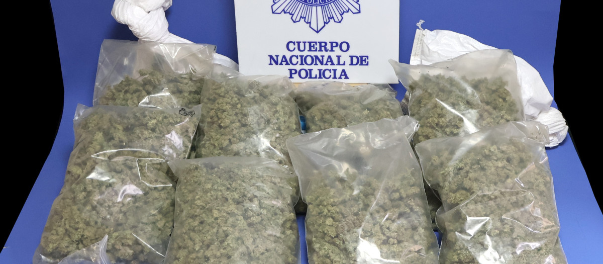 Marihuana incautada en Córdoba en el barrio del Campo de la Verdad