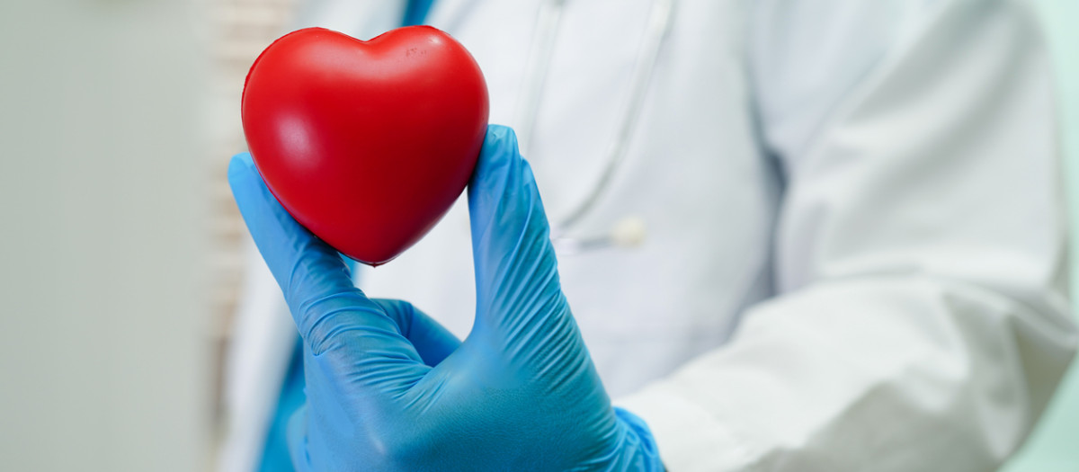 Asian woman doctor holding red heart for health in hospital.